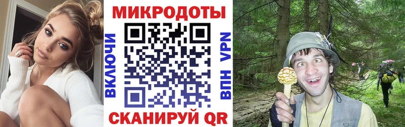 Псилоцибиновые грибы GOLDEN TEACHER Купить закладки Спасск